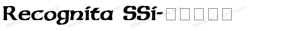 Recognita SSi字体转换